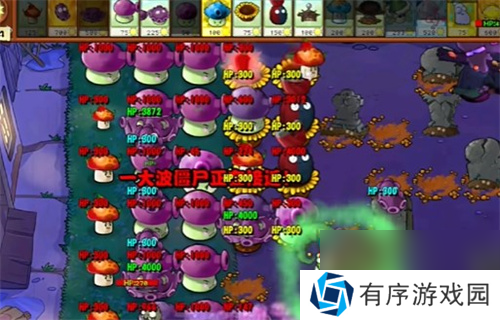 PVZ杂交版益智模式忧郁咖啡豆3通关详解